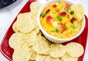 I am a huge fan of this Crockpot BBQ Chicken Wing Dip Recipe. BBQ is one of my favorite flavors, and this recipe makes it tons of fun for parties or snacking. - Teaspoon of Goodness