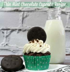 Thin Mint Chocolate Cupcake Recipe