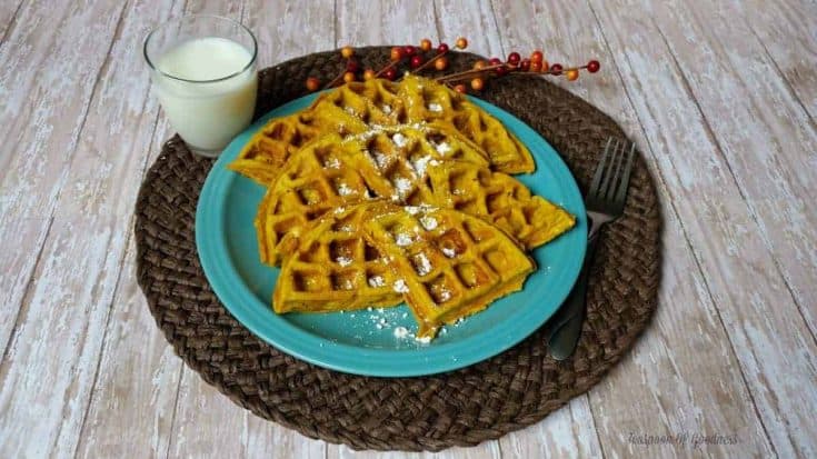 Bring the family together for breakfast with these Pumpkin Waffles With Oats. Not only are these a great Sunday morning breakfast but a school lunch meal as well! - Teaspoon of Goodness