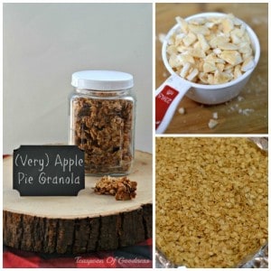 Apple Cinnamon Granola Recipe - Teaspoon Of Goodness