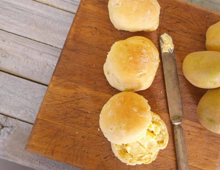 Potato rolls are a favorite at every family gathering. They are delicious and perfect additions to any holiday meal, or just alongside a Sunday dinner. - Teaspoon Of Goodness