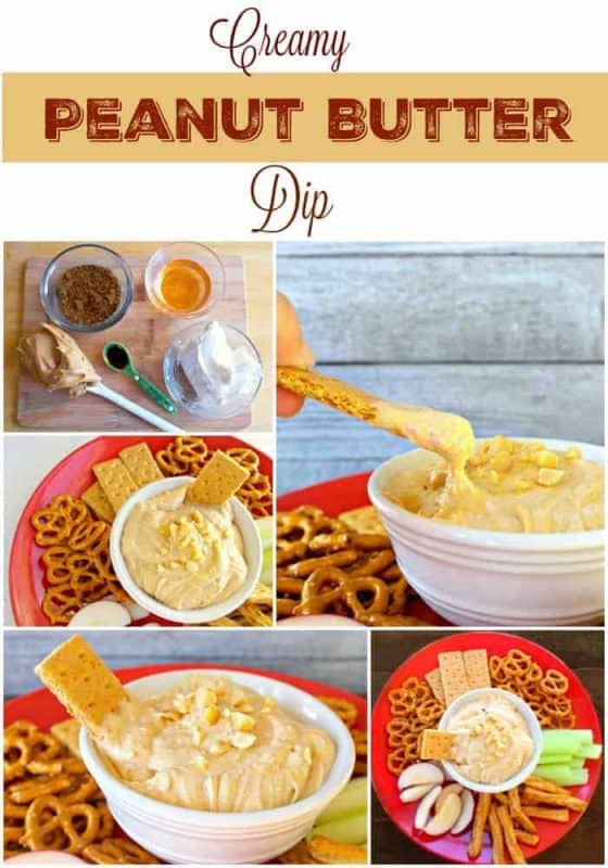 This Peanut Butter Dip is one of the easiest and most delicious snacks or desserts you will ever make. - Teaspoon Of Goodness