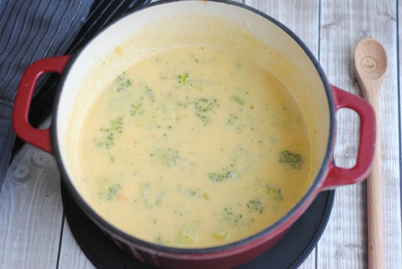 Creamy Cheesy Broccoli Soup is a classic meal that everyone loves. I, especially, love that kids will eat broccoli easily when in this delicious soup. - Teaspoon of Goodness