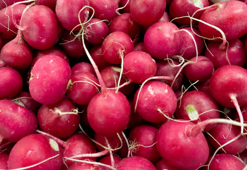 How to store radishes